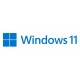 Microsoft Windows 11 Pro 1 licencia(s)