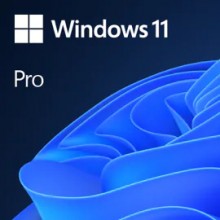 Microsoft Windows 11 Pro 1 licencia