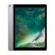 iPad Pro 12.9 Wi-Fi + Cellular 256 GB Gris Espacial